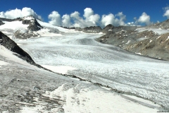 IMGA0223