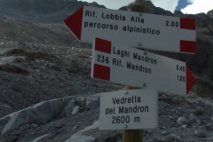 IMGA0239
