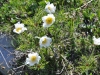 ZDSC_0274 (10)