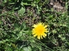 ZDSC_0274 (13)