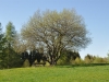 ZDSC_0274 (15)