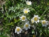 ZDSC_0274 (7)
