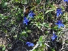 ZDSC_0274 (9)