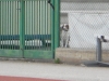 DSCN0292