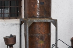 DivinNosiola_140419-148