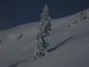 paganellasabato_20022010(02)