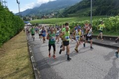 Masi_22062019-45
