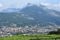Masi_22062019-51