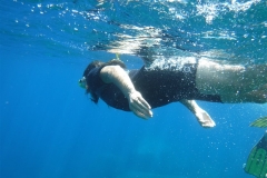 DSCF2170