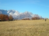 DSCN0922