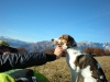 DSCN0928