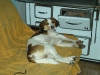 DSCN0929