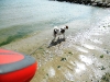 DSCN0518