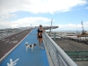 DSCN0557