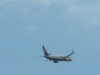 IMGA0630