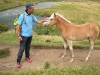 DSCN0785
