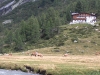 IMGA0172