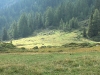 IMGA0215