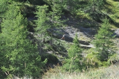 StellinaSestriere_26082018 (100)