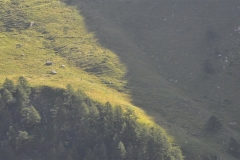 StellinaSestriere_26082018 (11)