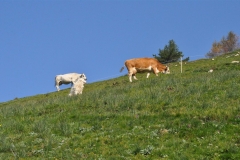 StellinaSestriere_26082018 (35)