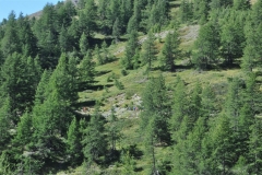 StellinaSestriere_26082018 (70)
