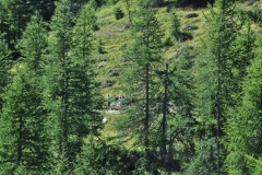 StellinaSestriere_26082018 (83)