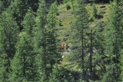 StellinaSestriere_26082018 (94)