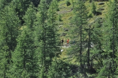 StellinaSestriere_26082018 (96)