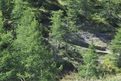StellinaSestriere_26082018 (99)