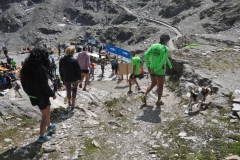 RifPetrarca_05082018 (89)
