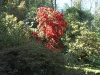 IMGA0017