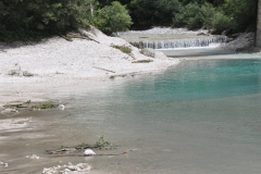 RadunoNaz_PrimieroGiugno2017 (28)